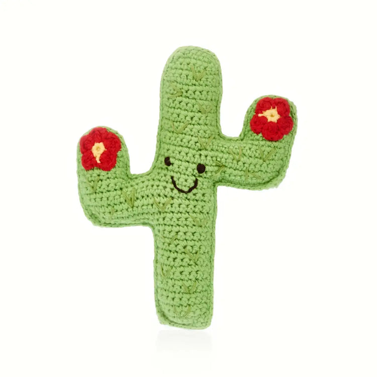 Friendly Cactus Buddy