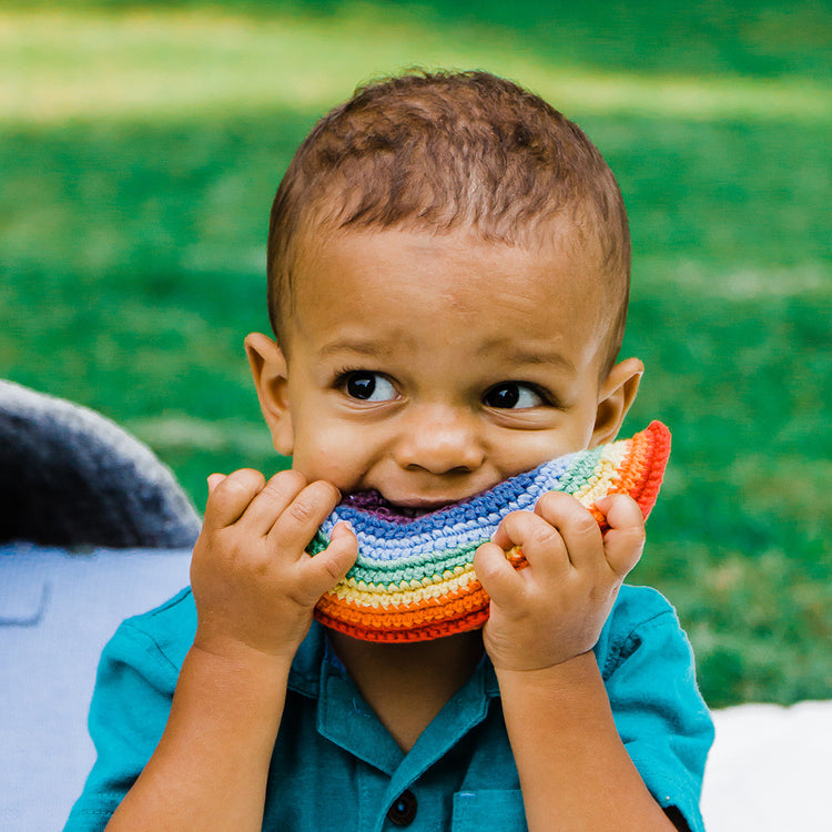 Friendly Rainbow Rattle